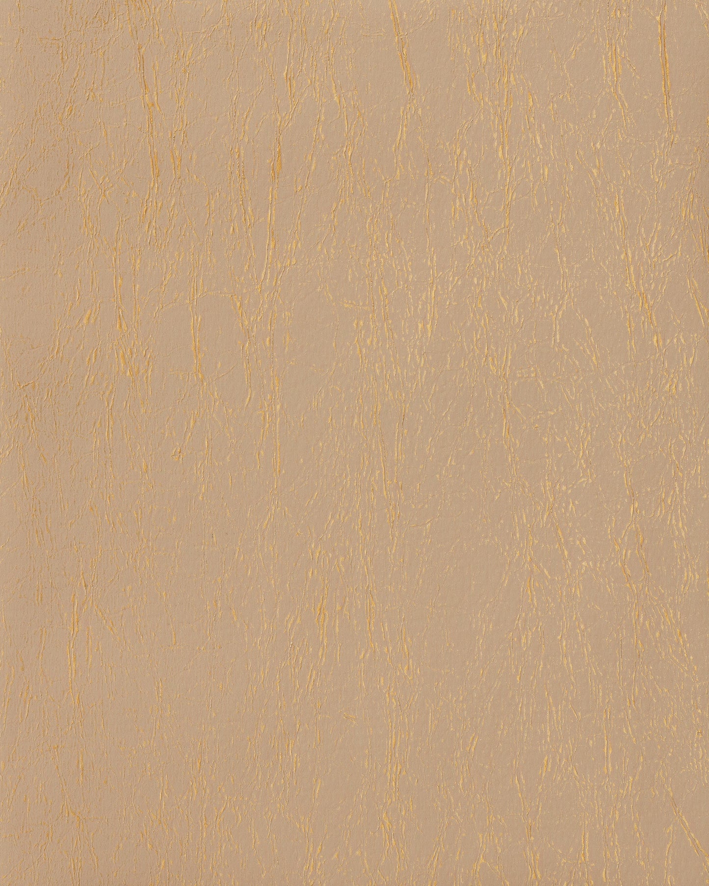 Bolta Enchanted