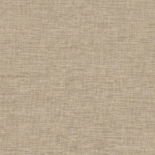 Bolta Interweave