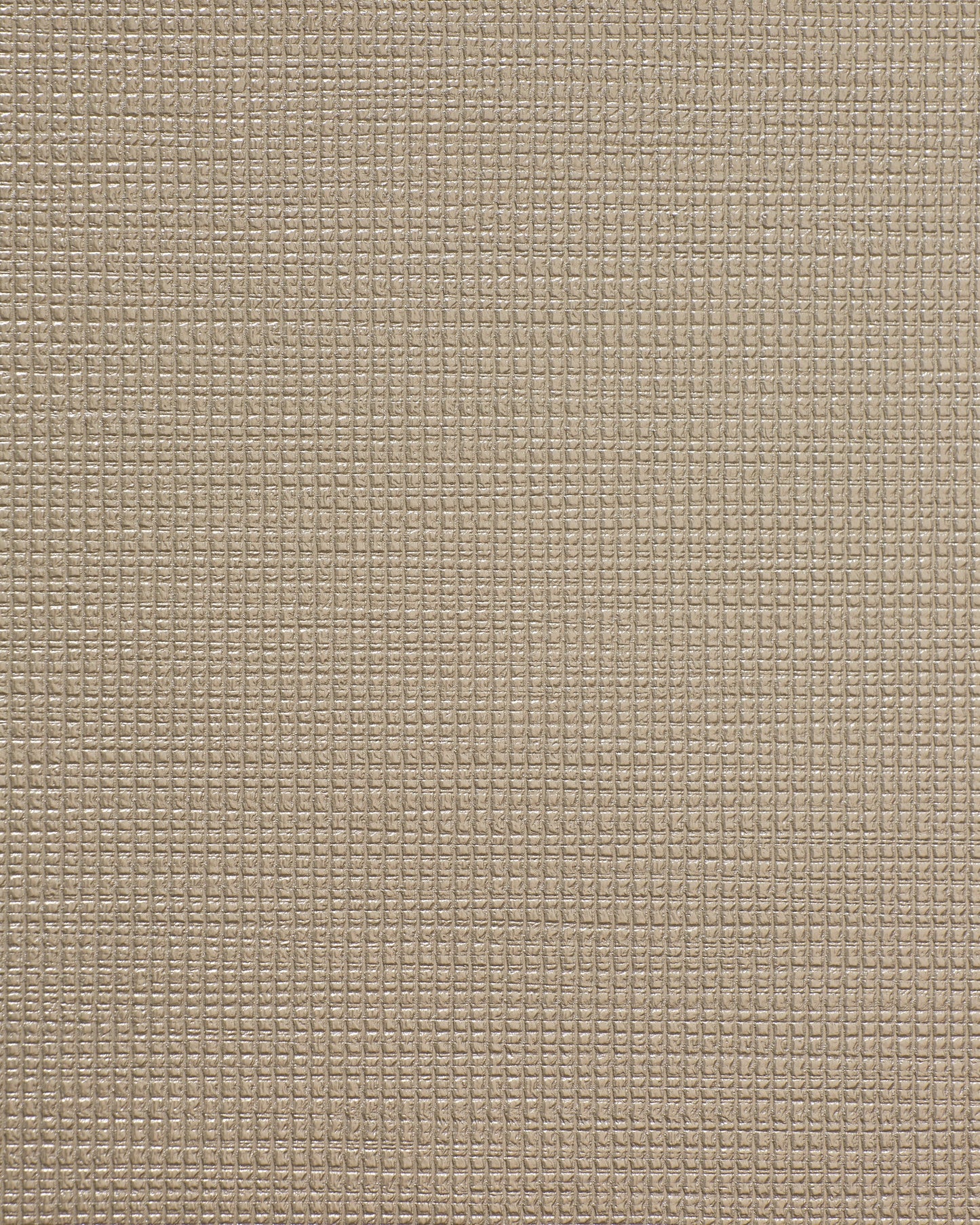 Bolta Vertex