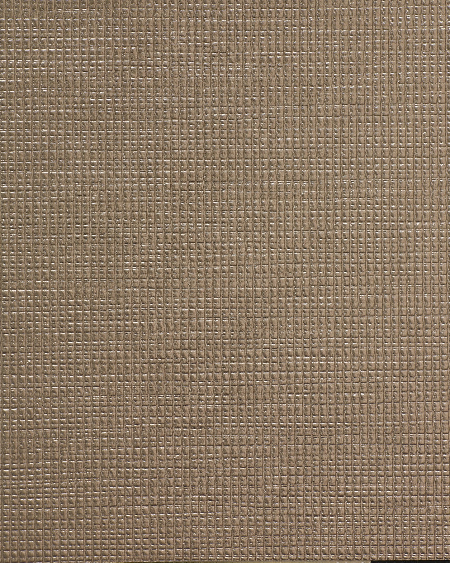 Bolta Vertex