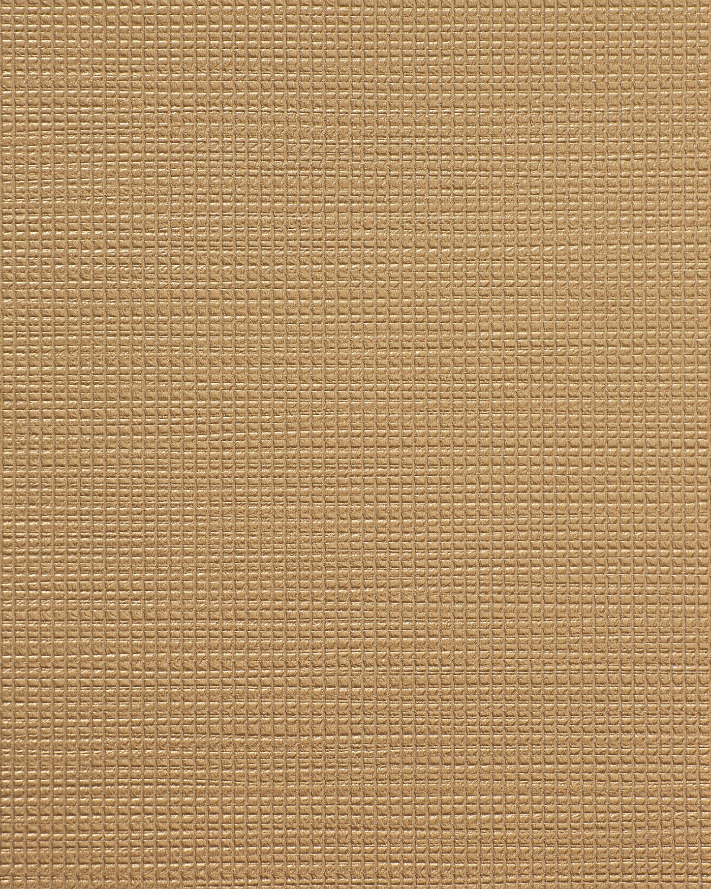 Bolta Vertex