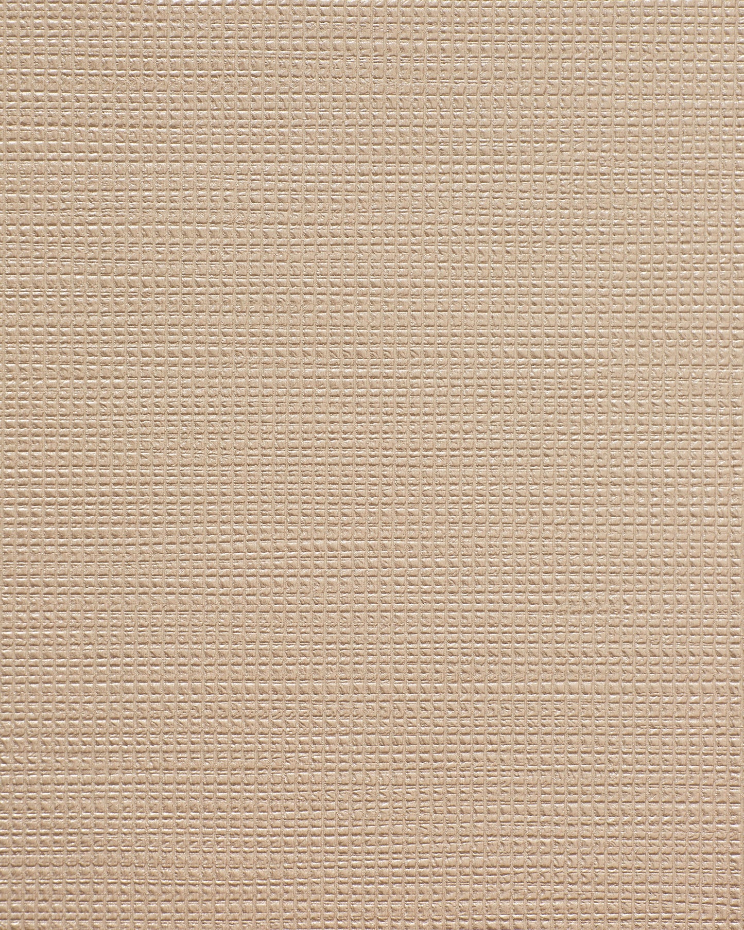 Bolta Vertex
