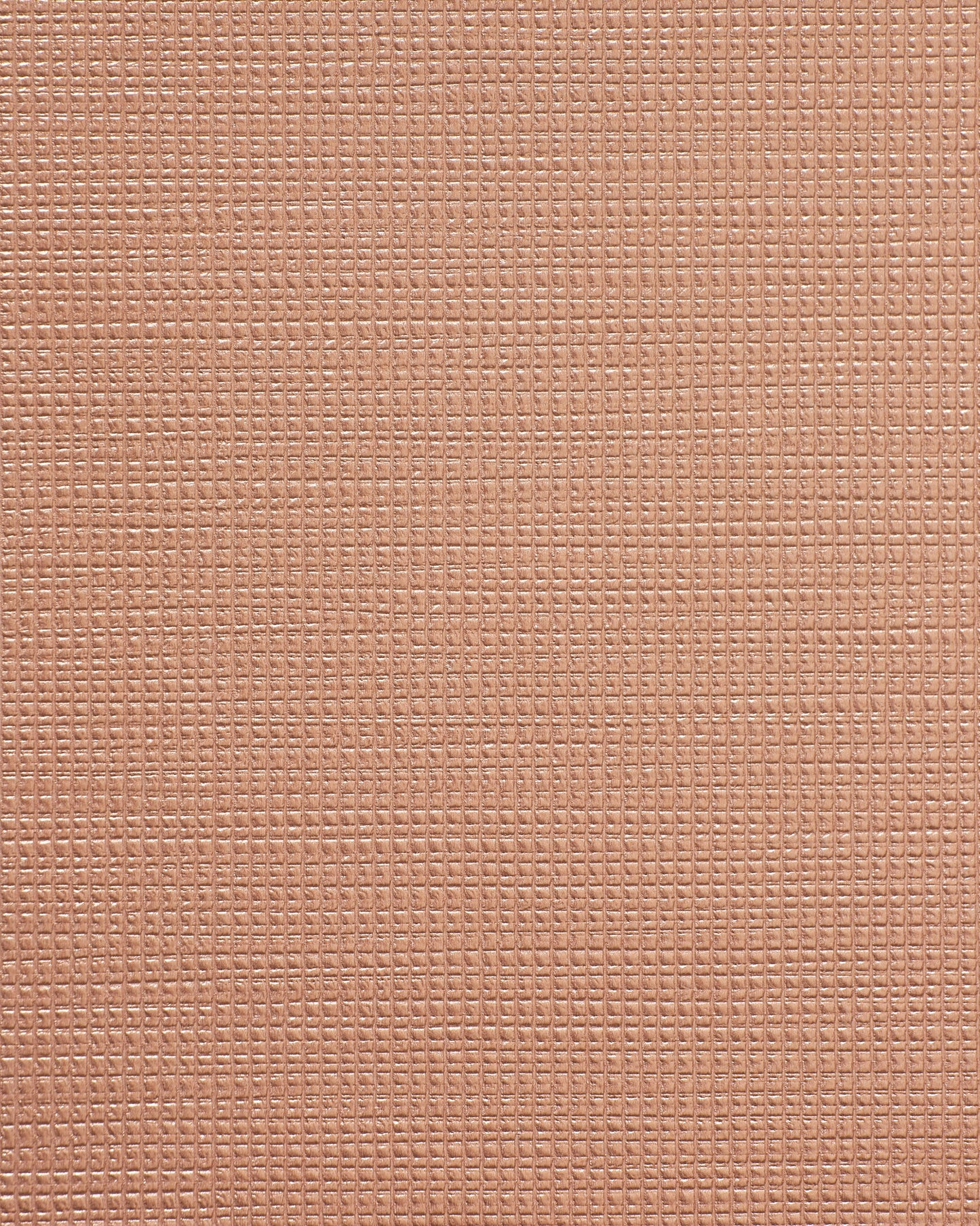 Bolta Vertex