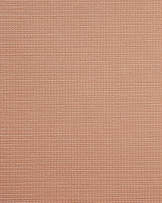 Bolta Vertex