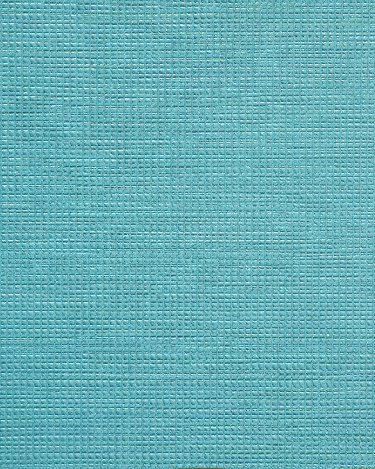 Bolta Vertex