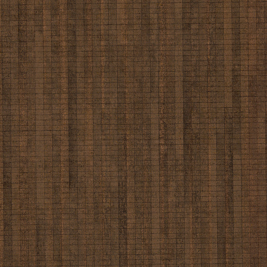 Invinci Anoka