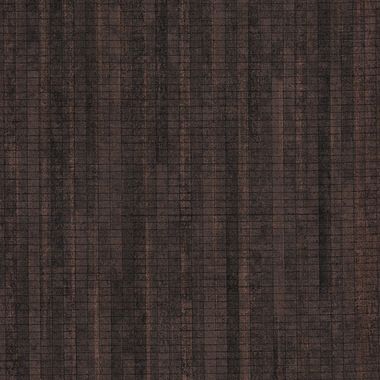 Invinci Anoka