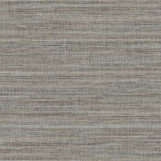 Invinci Argenti