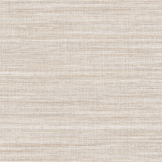Invinci Argenti