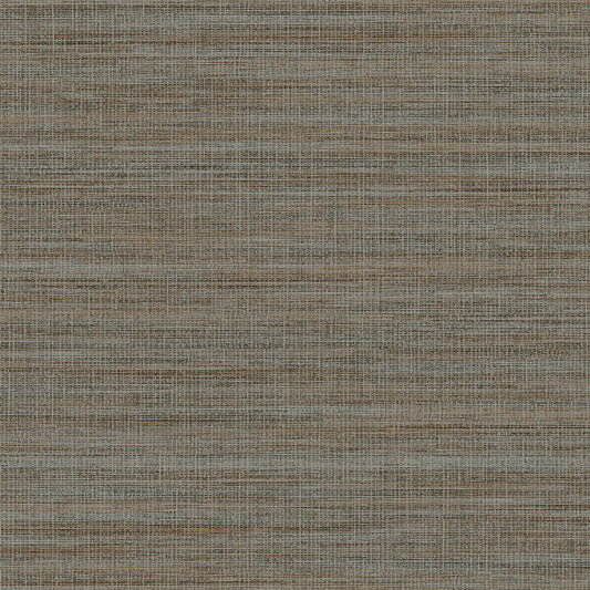 Invinci Argenti