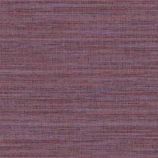 Invinci Argenti