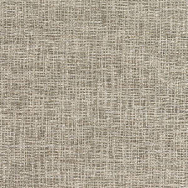 Invinci Cambric