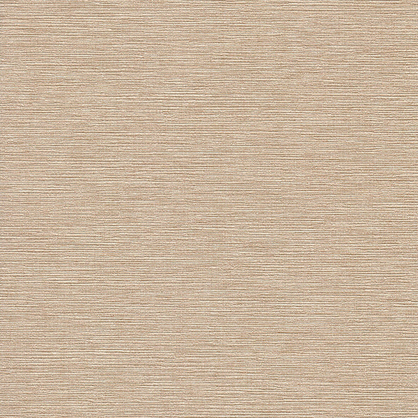 Invinci Cezanne - 15oz