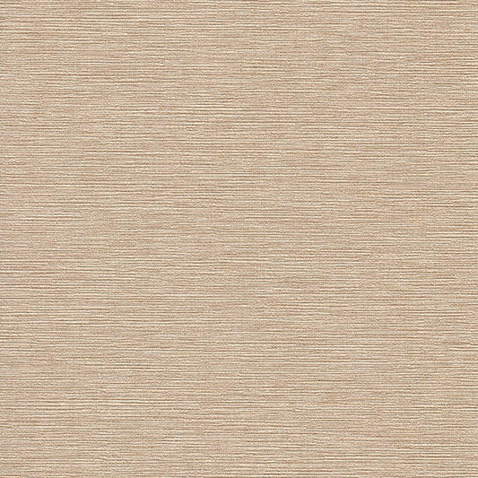 Invinci Cezanne - 15oz