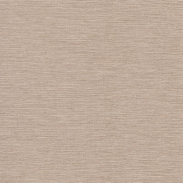 Invinci Cezanne - 15oz