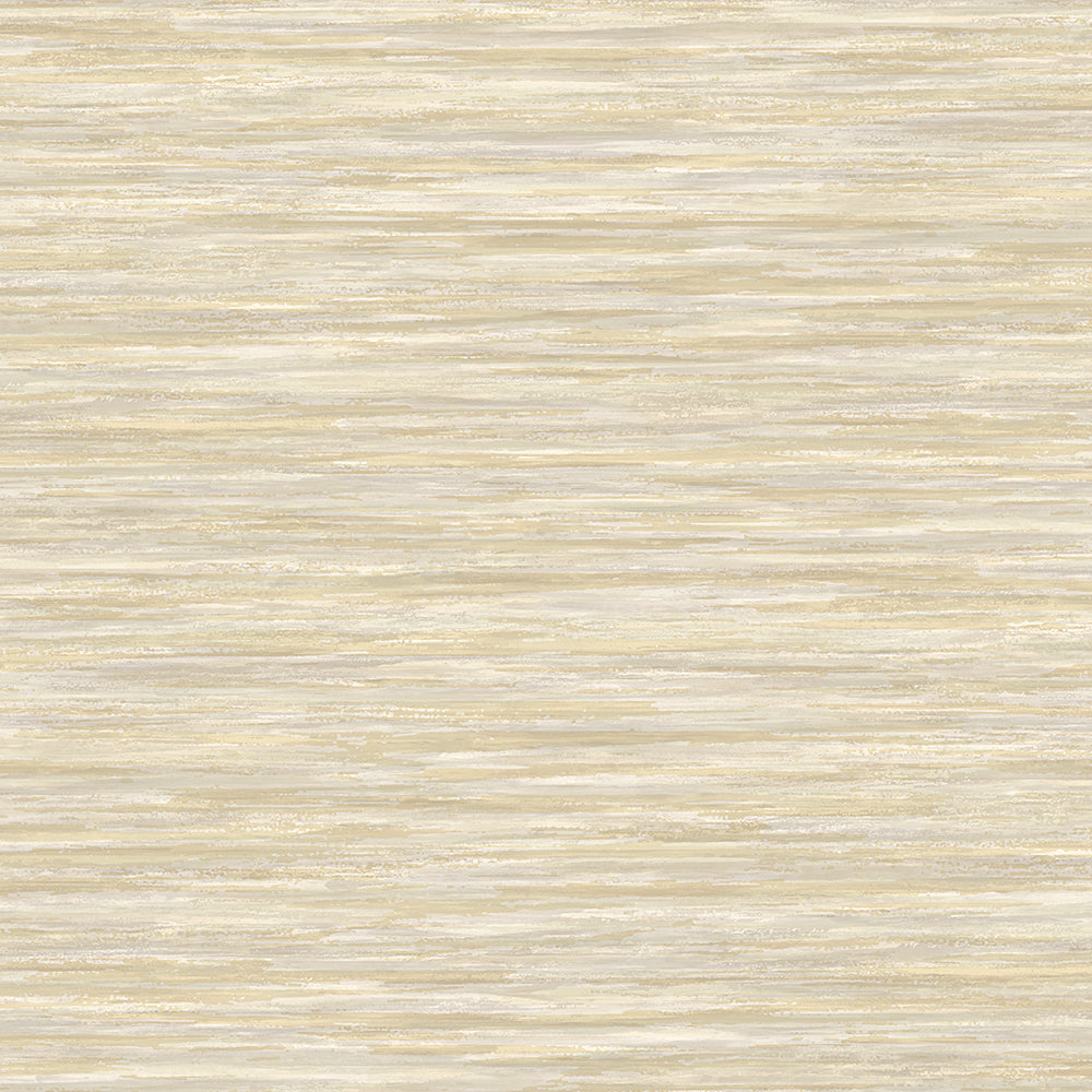 Invinci Euchari
