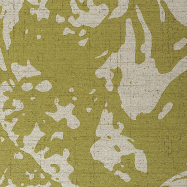 Invinci Fractal
