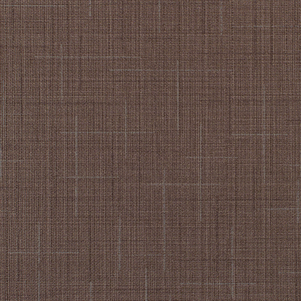 Invinci Icaro