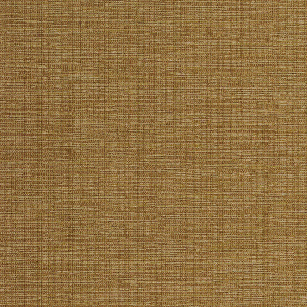 Invinci Intertwined