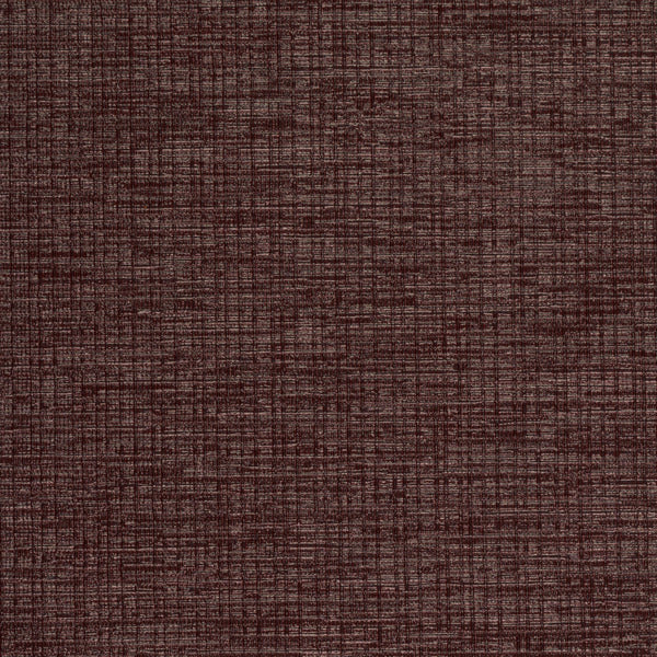 Invinci Intertwined