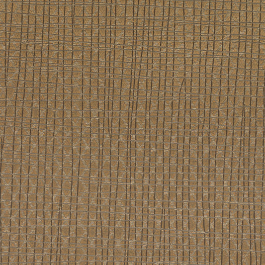 Invinci Latitude