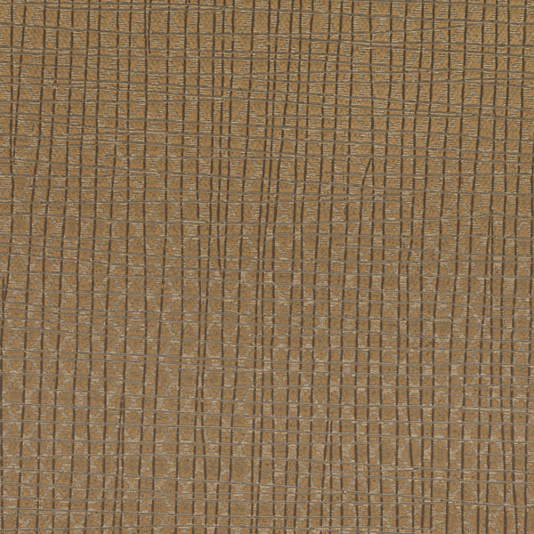 Invinci Latitude