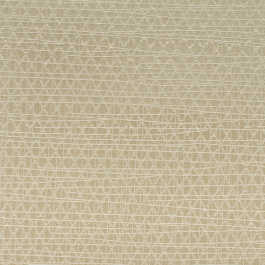 Invinci Latitude