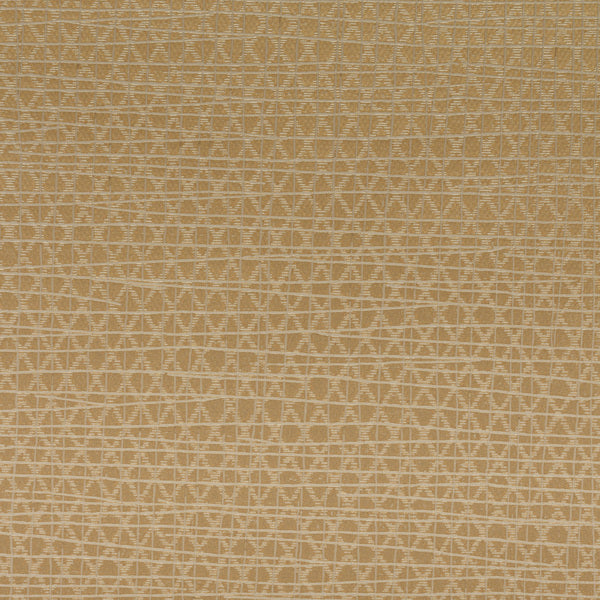 Invinci Latitude