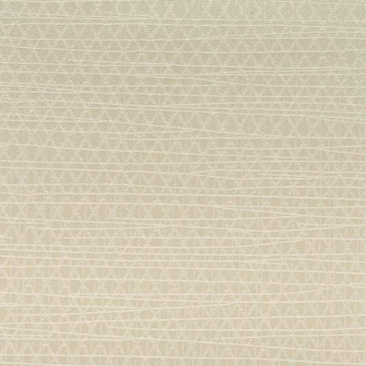 Invinci Latitude