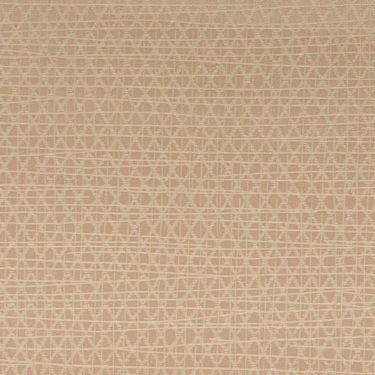 Invinci Latitude
