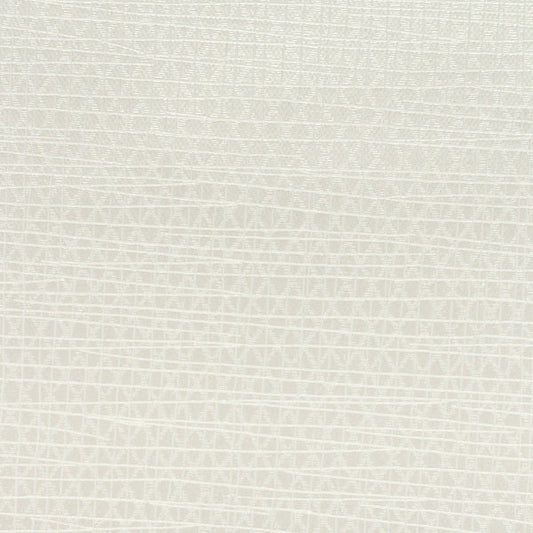 Invinci Latitude