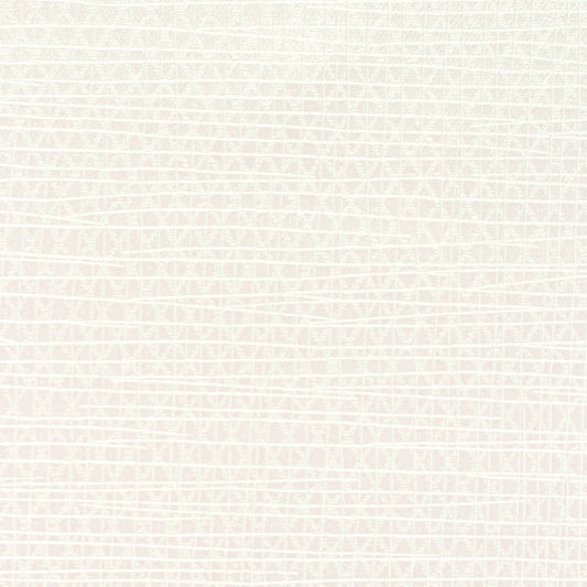 Invinci Latitude