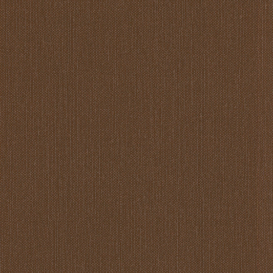Invinci Palmira