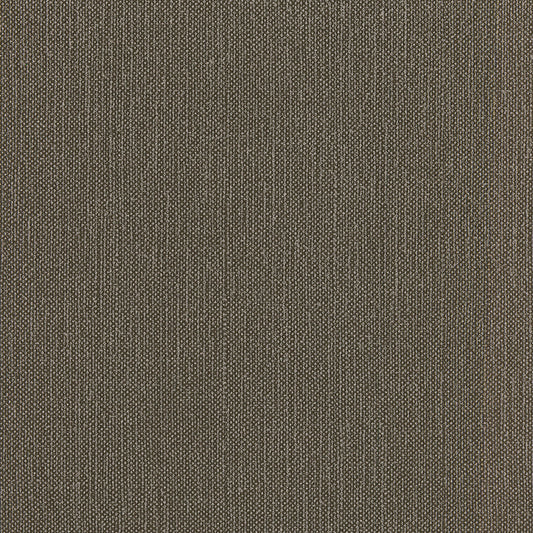 Invinci Palmira