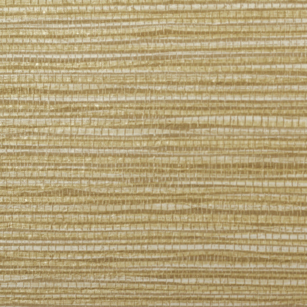 Invinci Sabal