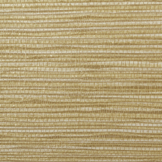 Invinci Sabal
