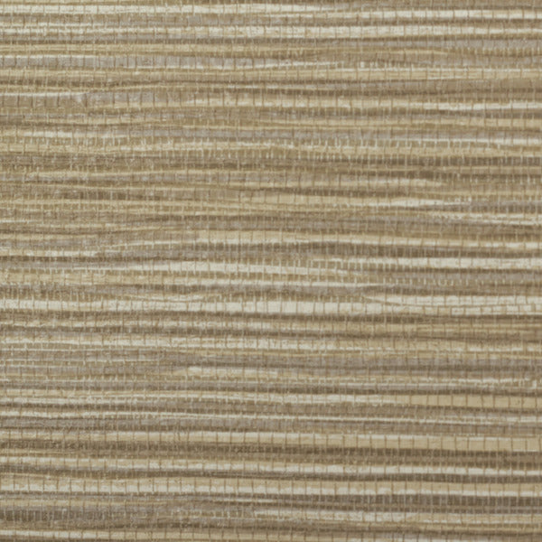 Invinci Sabal