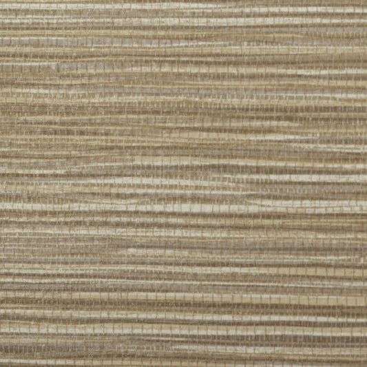 Invinci Sabal