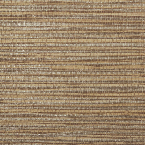 Invinci Sabal