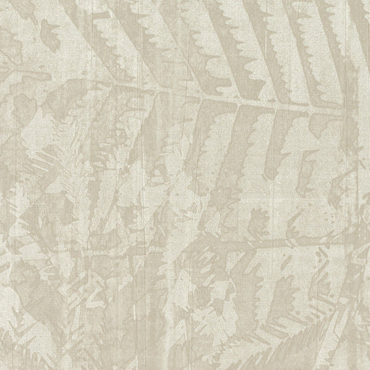 Invinci Tropicale