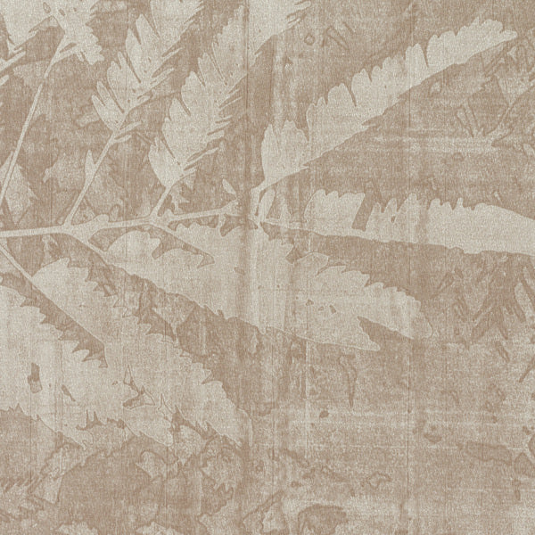 Invinci Tropicale