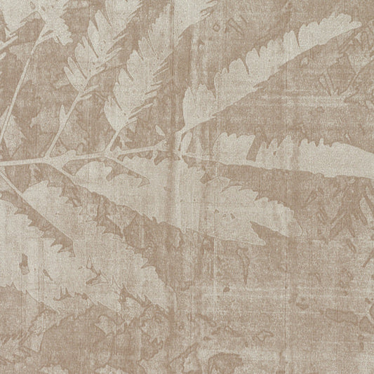 Invinci Tropicale