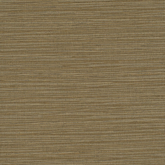 Invinci Vox