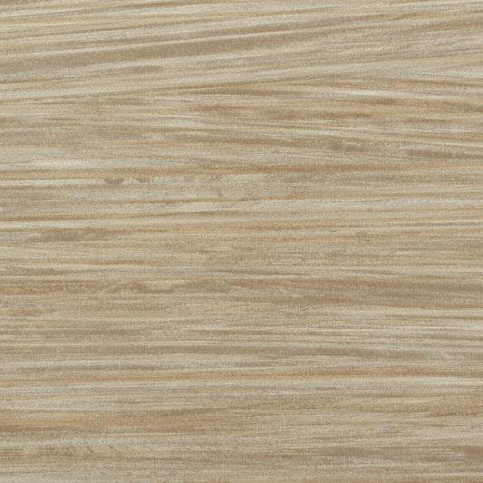 Invinci Zebrano