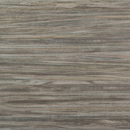 Invinci Zebrano