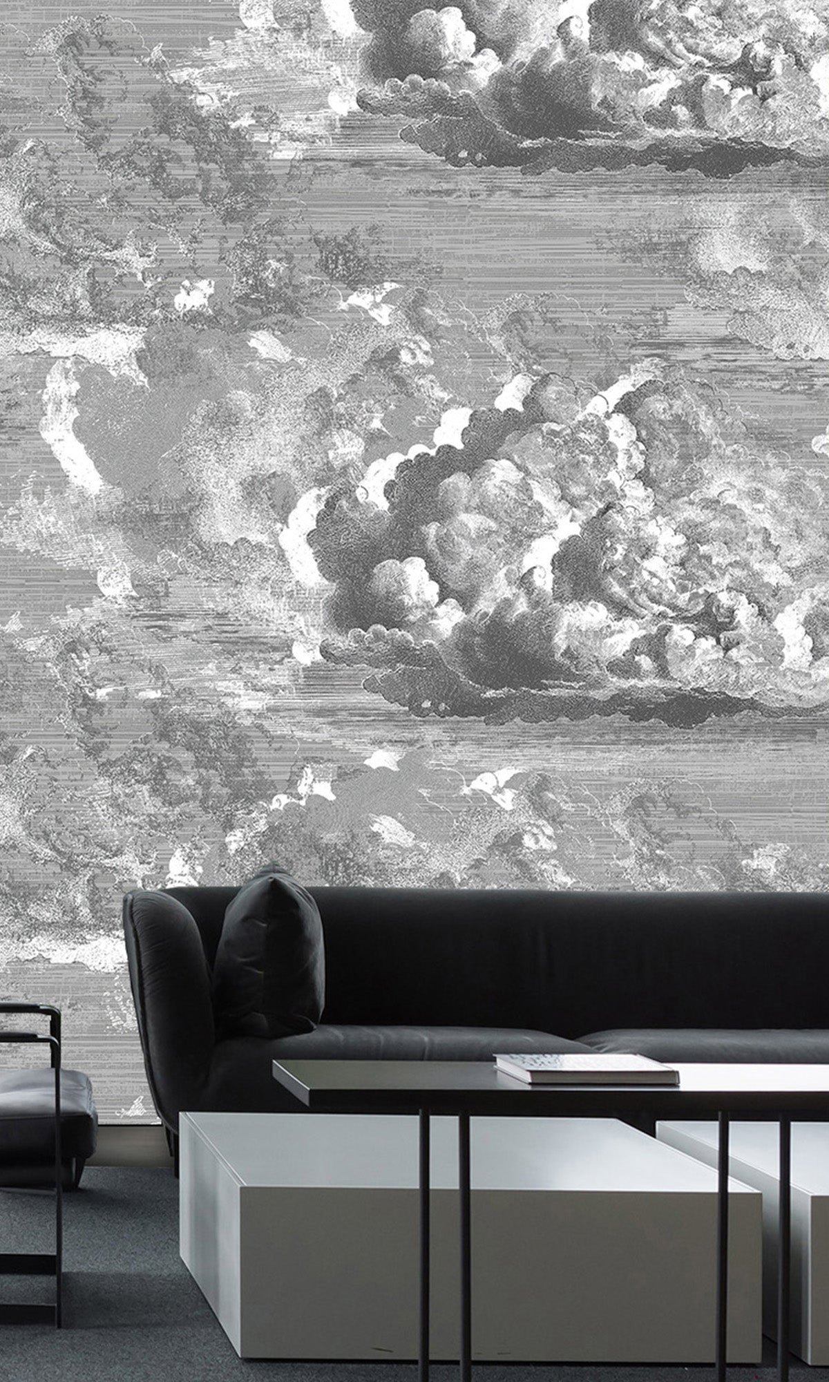 Abstract Clouds Murals MO1629