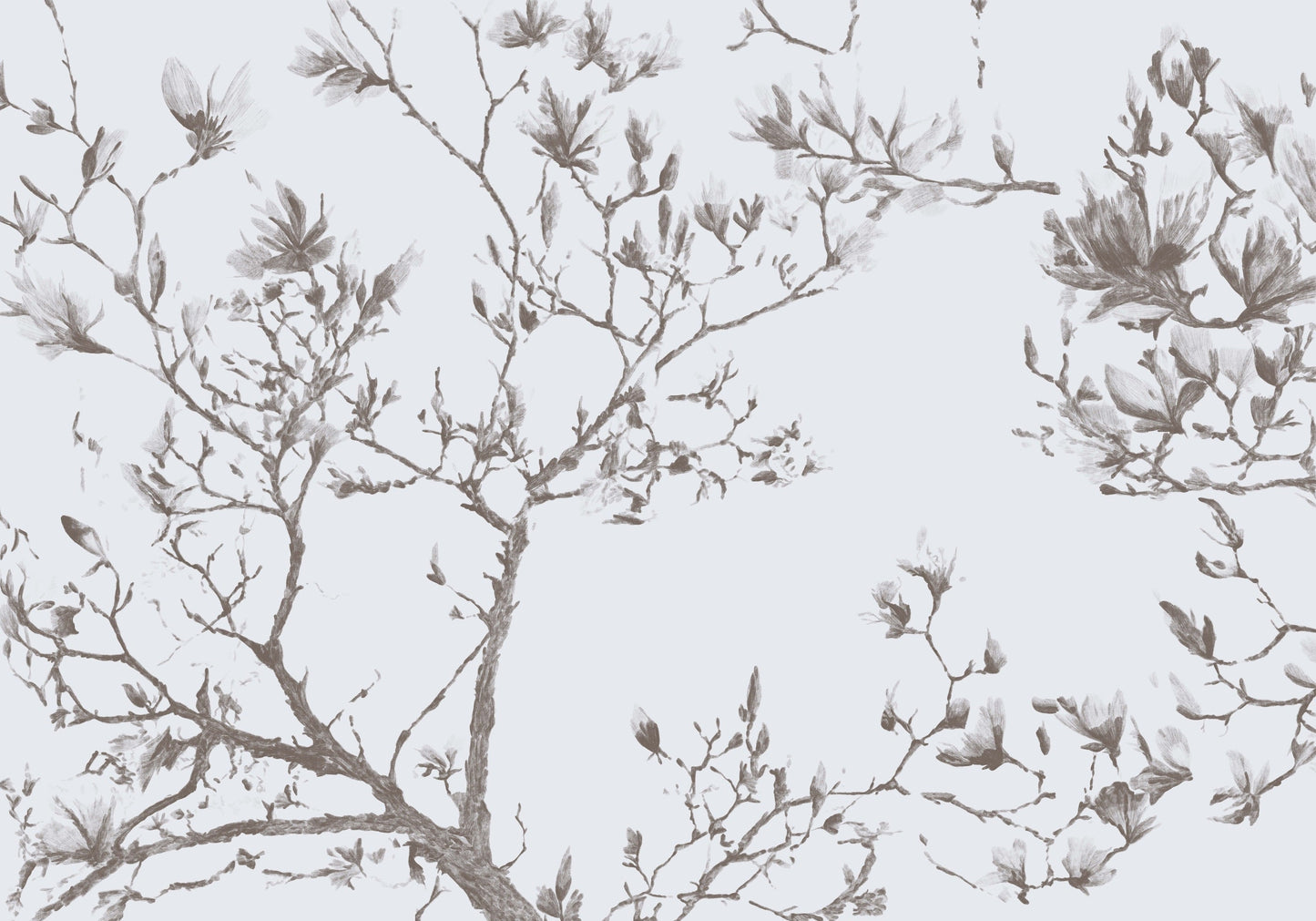 Taupe Magnolias In Bloom Murals MF1256