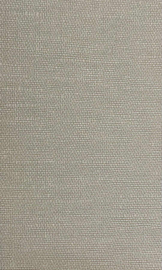 Surface Solutions -1