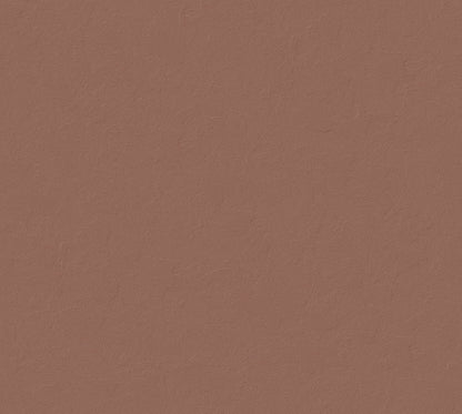 Iridecent Velvet