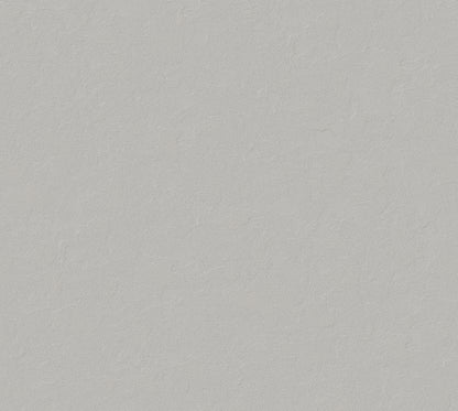 Iridecent Velvet